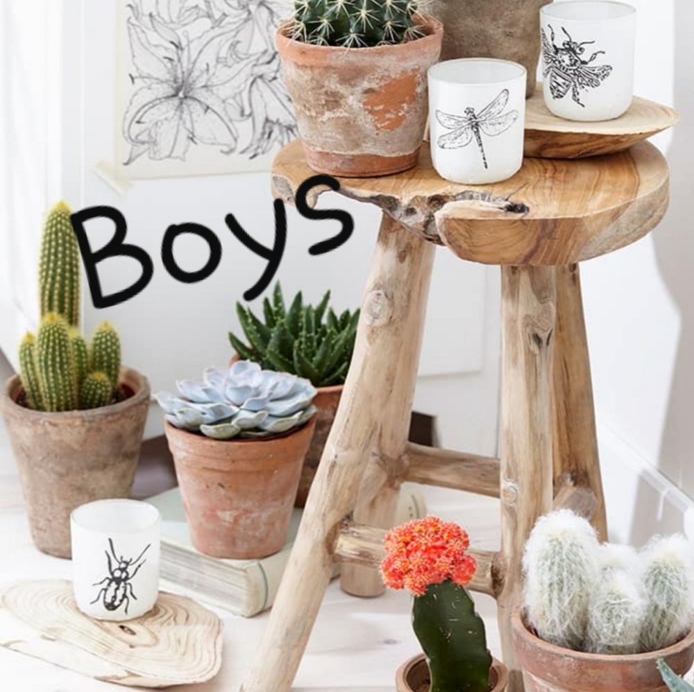 Boys